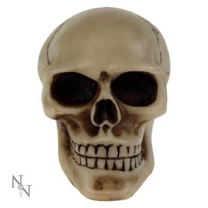 Image of Skull Gear Knob