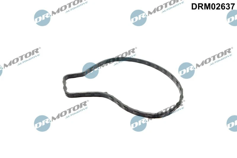 Image of DR.MOTOR AUTOMOTIVE Gasket, water pump DR.MOTOR AUTOMOTIVE DRM02637