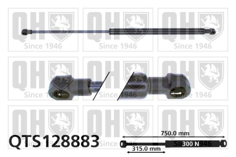 Image of QUINTON HAZELL Bonnet strut QUINTON HAZELL QTS128883