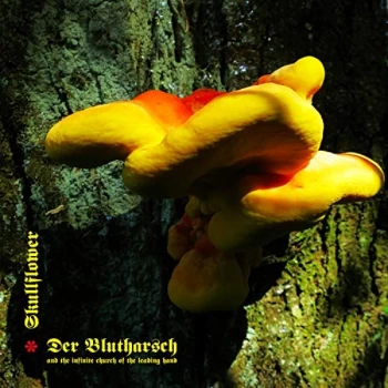 Image of Der Blutharsch / Skullflower - Angel of Darkness Vinyl