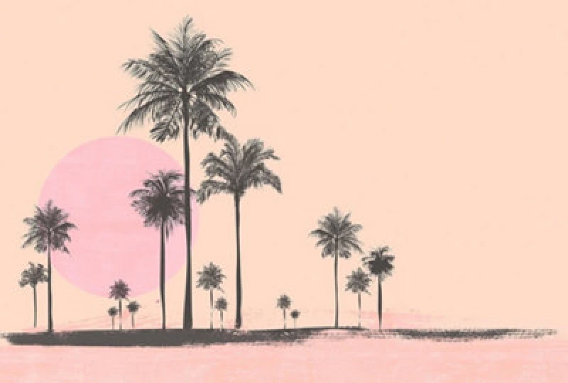 Image of As Creation Miami Beach Sunrise Digital Mural 400Cm X 270Cm Orange WPRAE Unisex