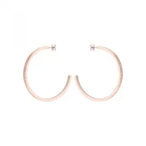 Image of Ted Baker Senra Large Crystal Hoop Earrings