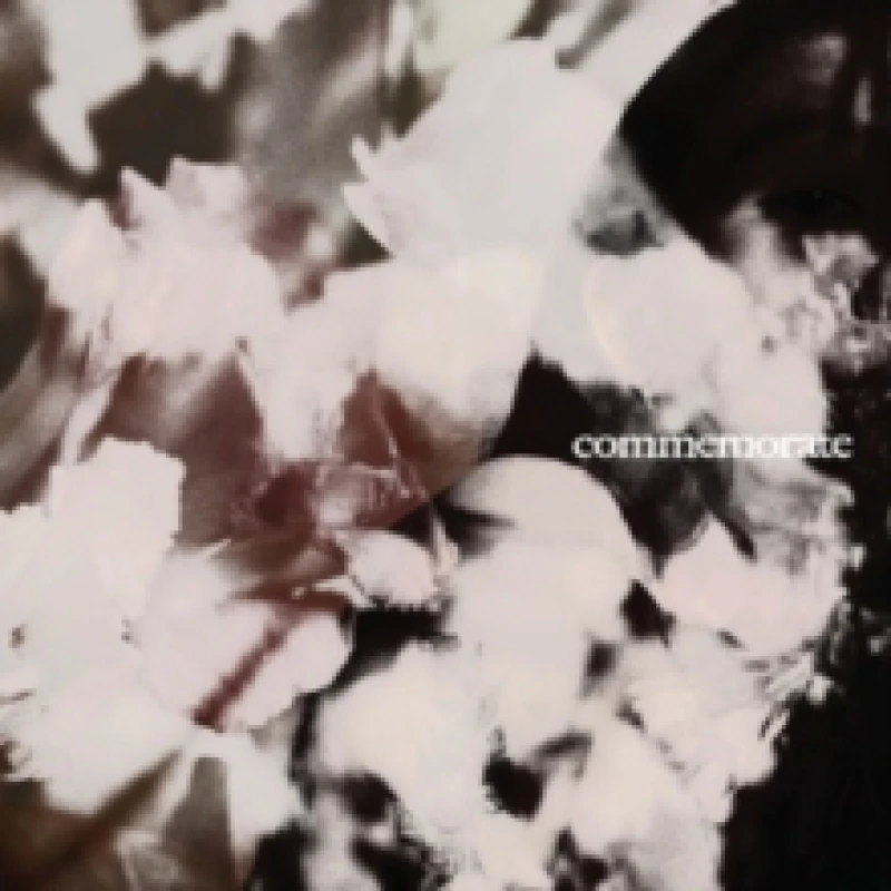 Image of S.T Vinyl