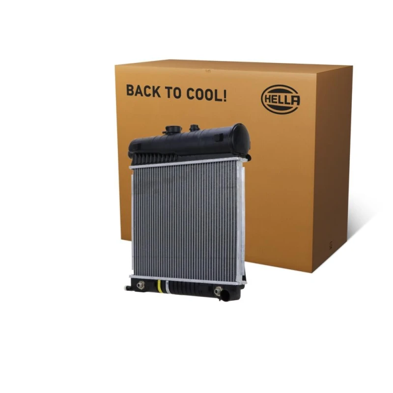 Image of HELLA Engine radiator HELLA 8MK 366 300-491