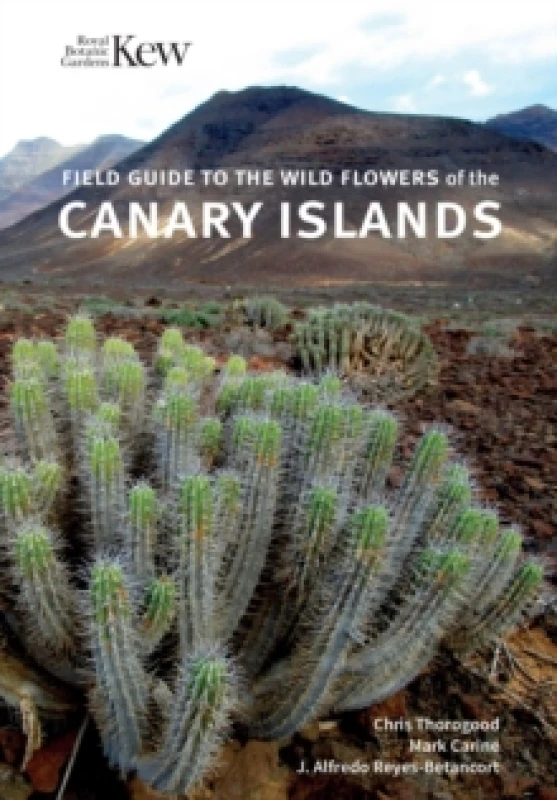 Image of Field Guide to the Wild Flowers of the Canary Islands Paperback / softback
