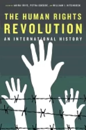 Image of human rights revolution an international history