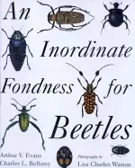 Image of inordinate fondness for beetles