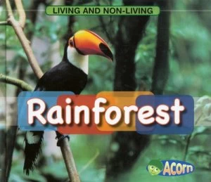 Image of Rainforest by Cassie Mayer Hardback