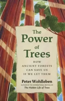 Image of The Power of Trees : How Ancient Forests Can Save Us if We Let Them