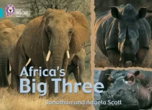 Image of africas big three