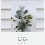 Image of Dispute (La) - Tiny Dots (+DVD)