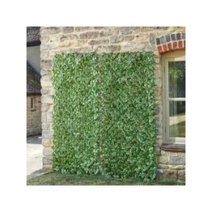 image of Ivy Leaf Trellis (180cm x 60cm)