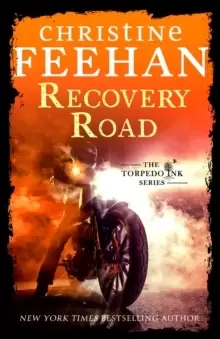 Image of Recovery Road