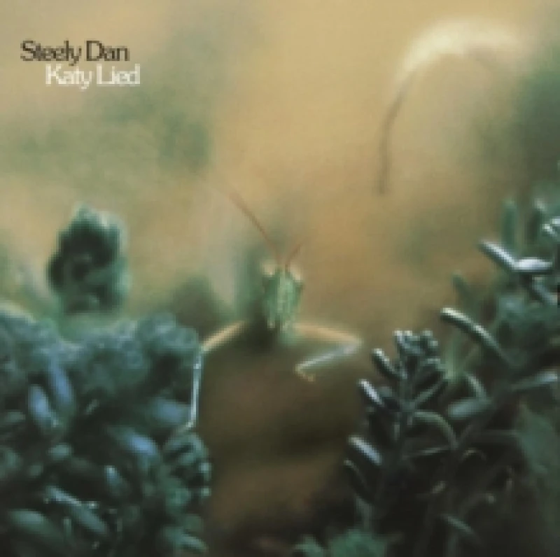 Image of Katy Lied Vinyl