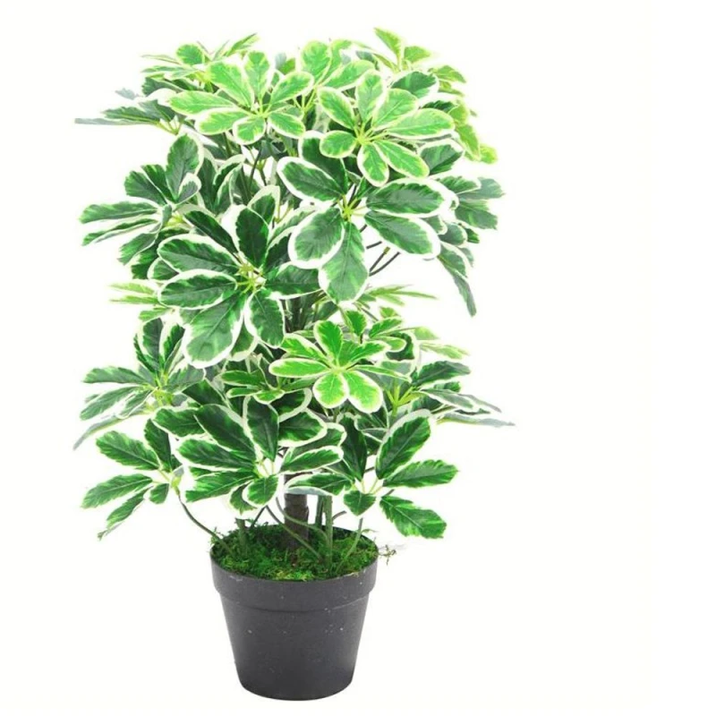 Image of Leaf 55cm Variegated Artificial Schefflera Arboricola Plant Green