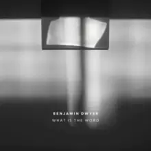 Image of Banjamin Dwyer: What Is the Word