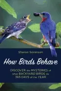 Image of how birds behave discover the mysteries of what backyard birds do 365 days