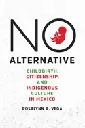 Image of no alternative childbirth citizenship and indigenous culture in mexico