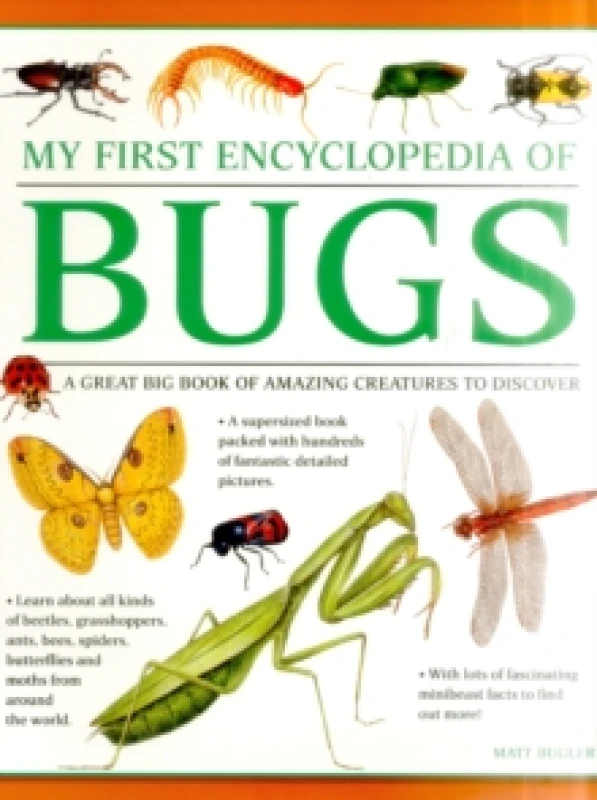 Image of Bugler Matt My First Encyclopedia of Bugs (giant Size) Book Multi
