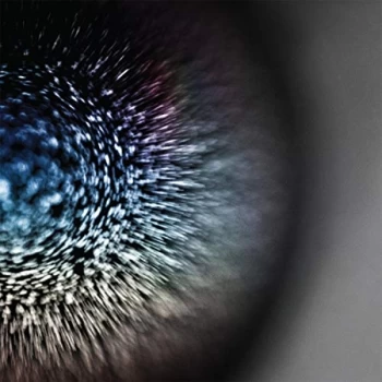 Image of Emptyset - Blossoms Vinyl