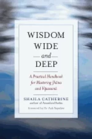 Image of wisdom wide and deep a practical handbook for mastering jhana and vipassana