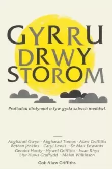 Image of Gyrru drwy Storom