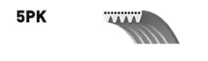 Image of GATES V-ribbed belt 5PK838 Serpentine belt,Auxiliary belt BMW,FIAT,TOYOTA,3 Limousine (E46),5 Limousine (E39),3 Touring (E46),5 Touring (E39)