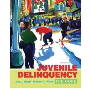 Image of Juvenile Delinquency: The Core by Brandon Welsh, Larry Siegel (Paperback, 2016)