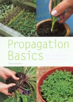 Image of Propagation Basics by Steve Bradley Book