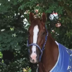 Image of Weatherbeeta Coordinate Headcoller - Blue
