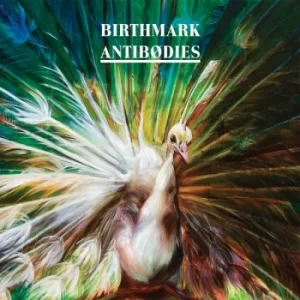 Image of Birthmark ‎- Antibodies CD