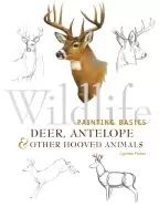 Image of wildlife painting basics deer antelope and other hooved animals