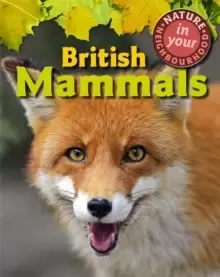 Image of Nature in Your Neighbourhood: British Mammals