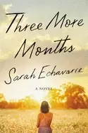 Image of three more months a novel