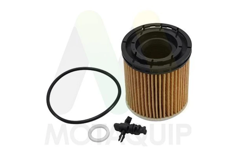 Image of MOTAQUIP Oil filter MOTAQUIP LVFL877