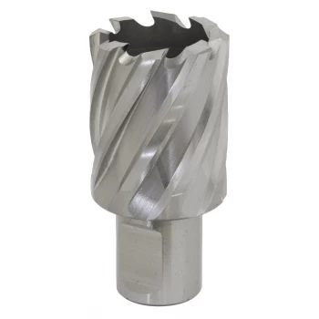 Image of Rotabor Cutter HSS 29MM - Cut Depth 25MM