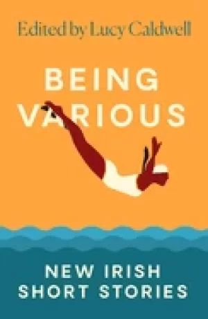 Image of being various new irish short stories