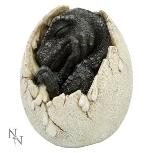 Image of Wyrmlings First Light Dinosaur