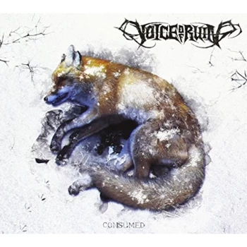 Image of Voice of Ruin - CONSUMED CD