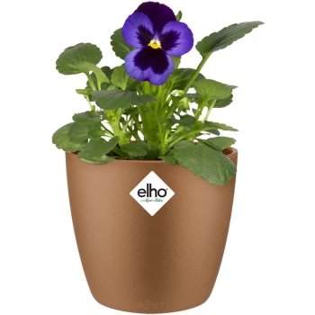 image of Elho - Flower Pot Brussels Round Planter Plant Window Box Indoor Outdoor Plastic samtgold/0,8 Liter (de)