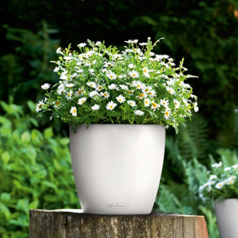 Image of Lechuza Lechuza CLASSICO Color 28 13190 Planter container White 13190