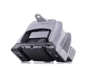 Image of MEYLE Mounting, manual transmission 100 199 1055 VW,AUDI,SKODA,Golf IV Schragheck (1J1),Golf IV Variant (1J5),Bora Limousine (1J2),Bora Variant (1J6)