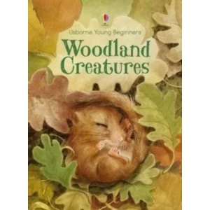 Image of Young Beginners Woodland Creatures