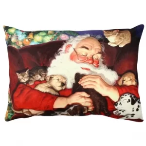 Image of A50861 Multicolor Cushion