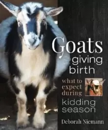 Image of Goats Giving Birth : What to Expect during Kidding Season