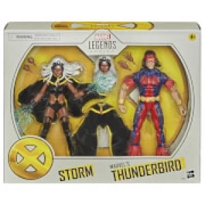 Image of Hasbro Marvel Legends X-Men Storm & Thunderbird 2-Pack Action Figure