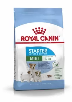 image of Royal Canin Mini Starter Mother and Babydog Adult and Puppy Dog Food Dry 1kg