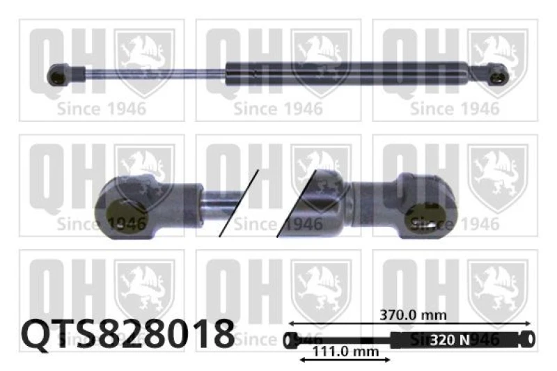 Image of QUINTON HAZELL Tailgate strut QUINTON HAZELL QTS828018