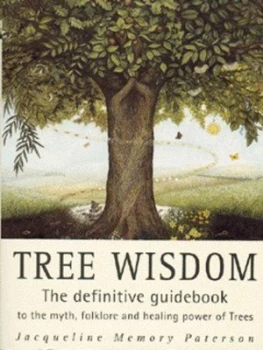 Image of Tree Wisdom by Jacqueline Memory Paterson Paperback