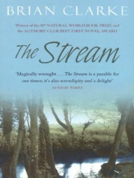 Image of The Stream by Brian Clarke Paperback
